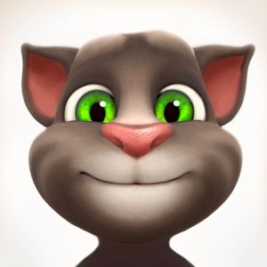 Talking Tom Cat game Review